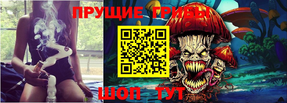 Галлюциногенные грибы мухоморы  цены наркотик  Жигулёвск  Псилоцибиновые грибы Psilocybine cubensis  Вход с VPN 