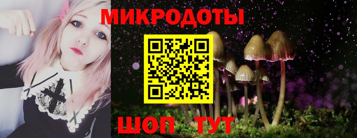 Псилоцибиновые грибы ЛСД Жигулёвск